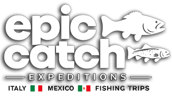 epic catch logo white 2